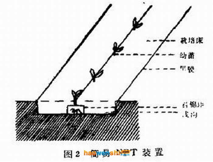 營養(yǎng).jpg